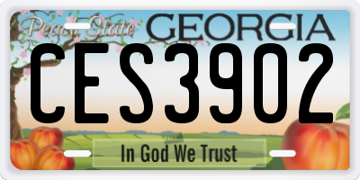 GA license plate CES3902