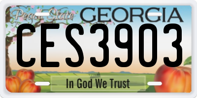 GA license plate CES3903