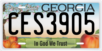 GA license plate CES3905