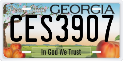 GA license plate CES3907