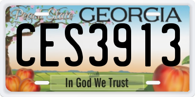 GA license plate CES3913