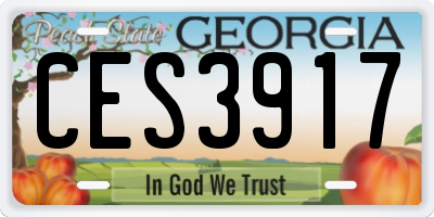 GA license plate CES3917