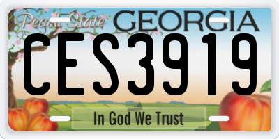 GA license plate CES3919