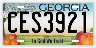 GA license plate CES3921