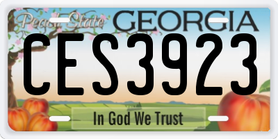 GA license plate CES3923