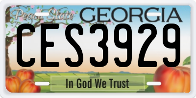 GA license plate CES3929