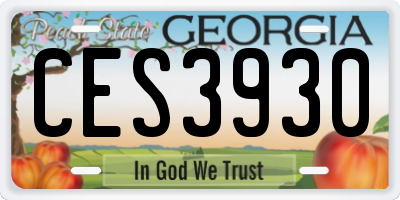 GA license plate CES3930