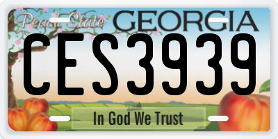 GA license plate CES3939