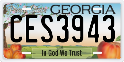 GA license plate CES3943