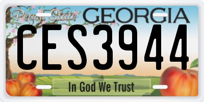 GA license plate CES3944