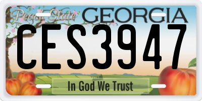 GA license plate CES3947