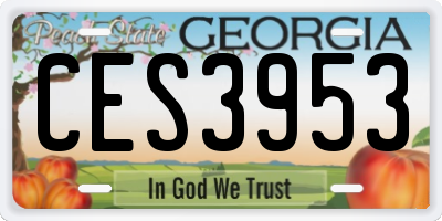 GA license plate CES3953