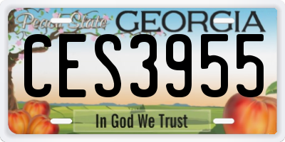 GA license plate CES3955