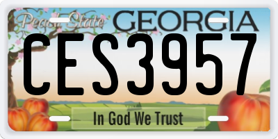 GA license plate CES3957