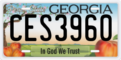 GA license plate CES3960