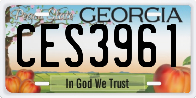 GA license plate CES3961