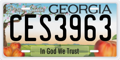 GA license plate CES3963