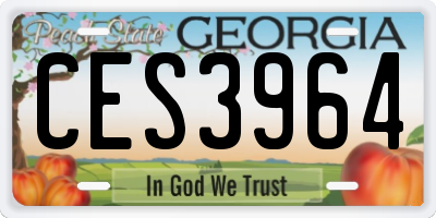 GA license plate CES3964