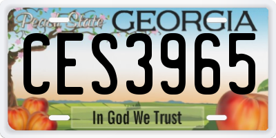 GA license plate CES3965