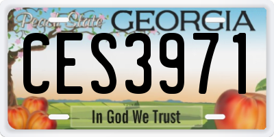 GA license plate CES3971