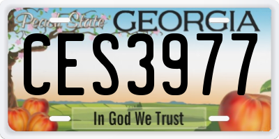 GA license plate CES3977