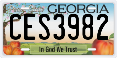 GA license plate CES3982