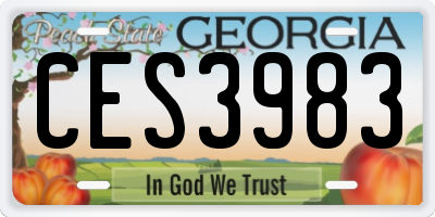 GA license plate CES3983