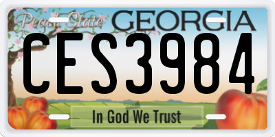 GA license plate CES3984