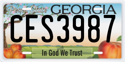 GA license plate CES3987