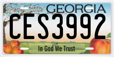 GA license plate CES3992