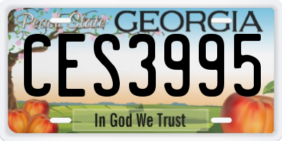 GA license plate CES3995