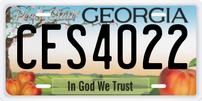 GA license plate CES4022