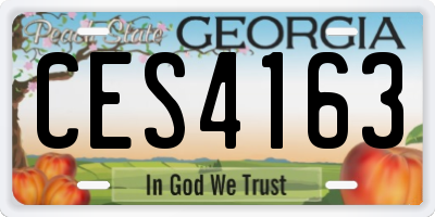 GA license plate CES4163