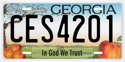 GA license plate CES4201