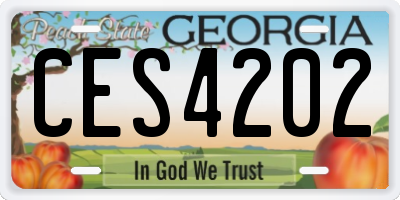 GA license plate CES4202