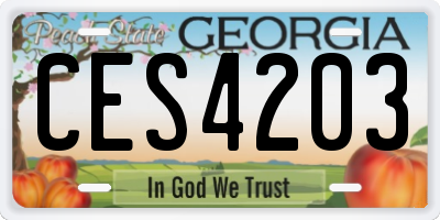 GA license plate CES4203