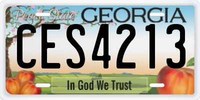 GA license plate CES4213