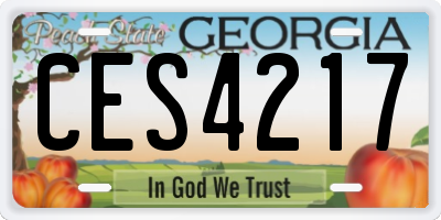 GA license plate CES4217