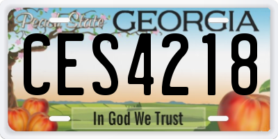GA license plate CES4218