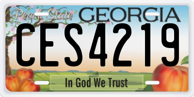 GA license plate CES4219