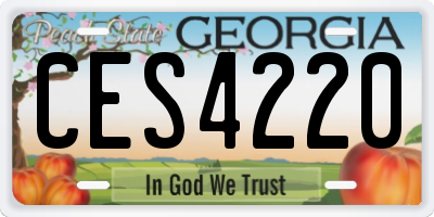 GA license plate CES4220