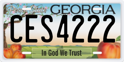 GA license plate CES4222