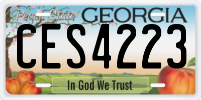 GA license plate CES4223