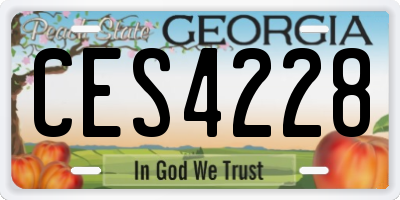 GA license plate CES4228