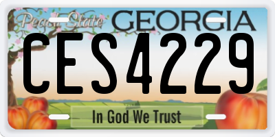 GA license plate CES4229