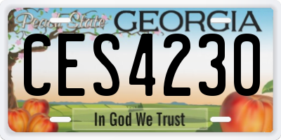 GA license plate CES4230
