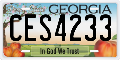 GA license plate CES4233