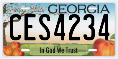 GA license plate CES4234