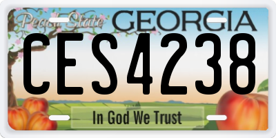 GA license plate CES4238