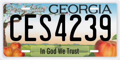 GA license plate CES4239